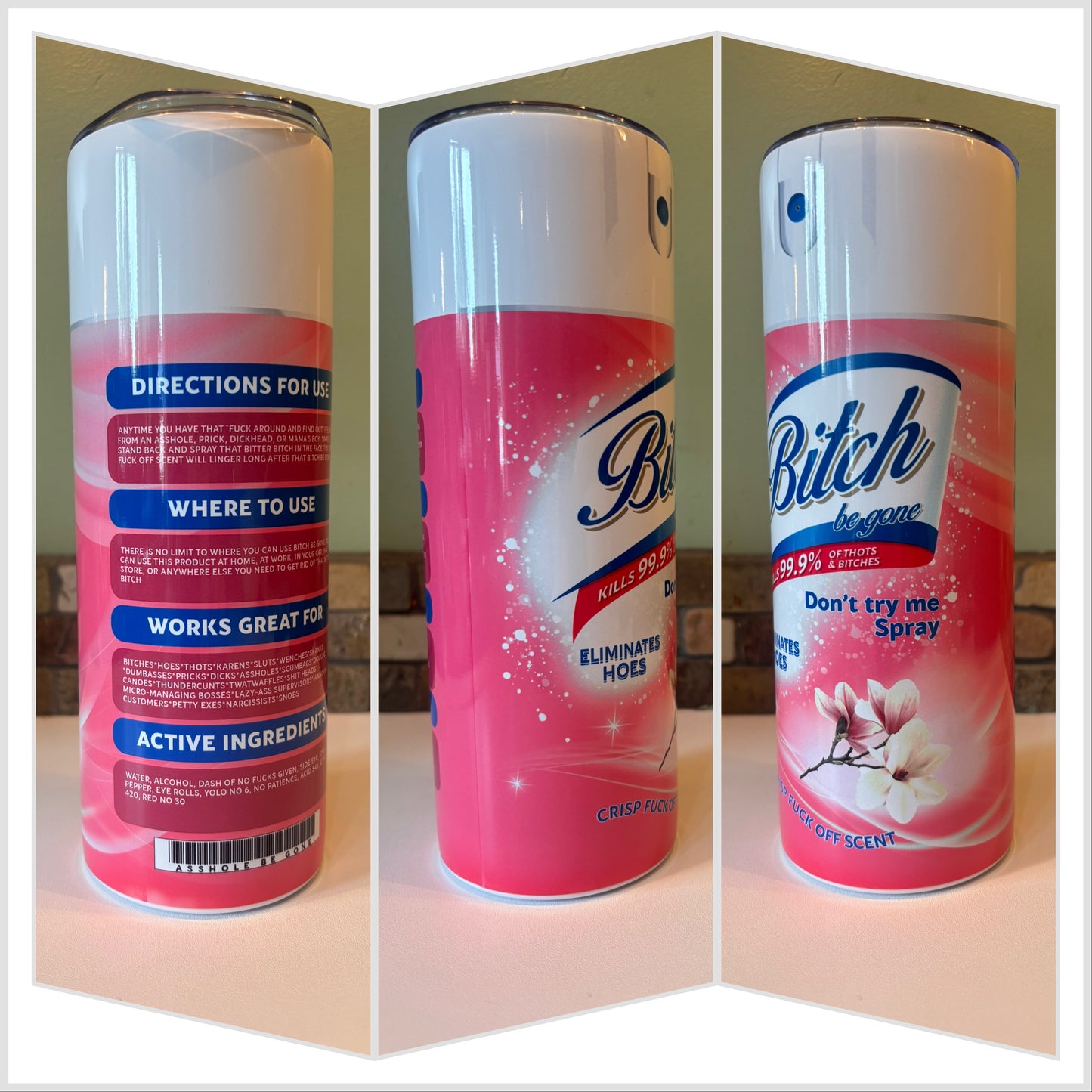 Funny Parody Spray Tumbler | Gag Gift Cup Saskatoon SK Canada